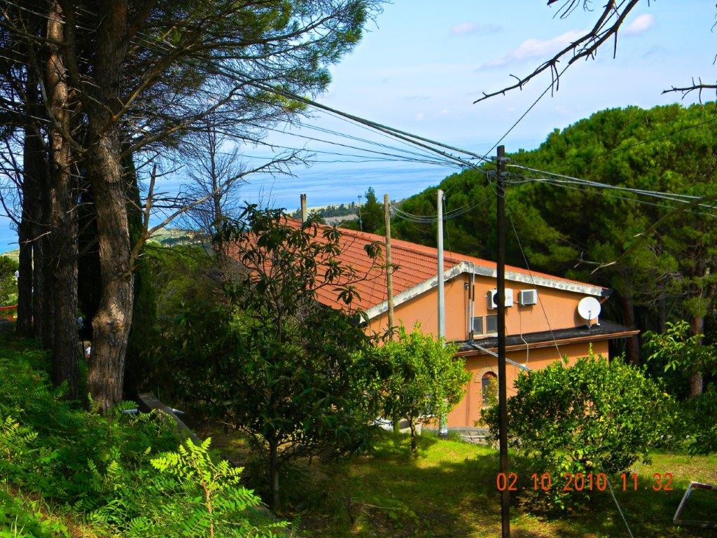 castrilli (3).jpg