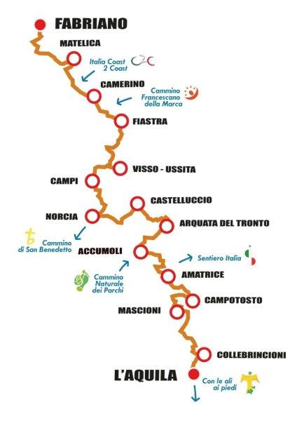 renzuglia8.jpg