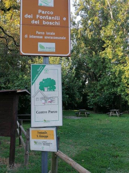 zucchinali7.jpg
