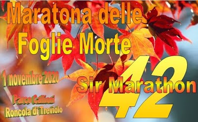 anteprima_202011051751.jpg