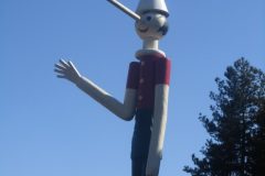 221
