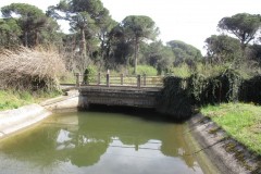 066